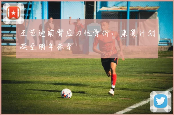 王艺迪前臂应力性骨折，康复计划延至明年春季